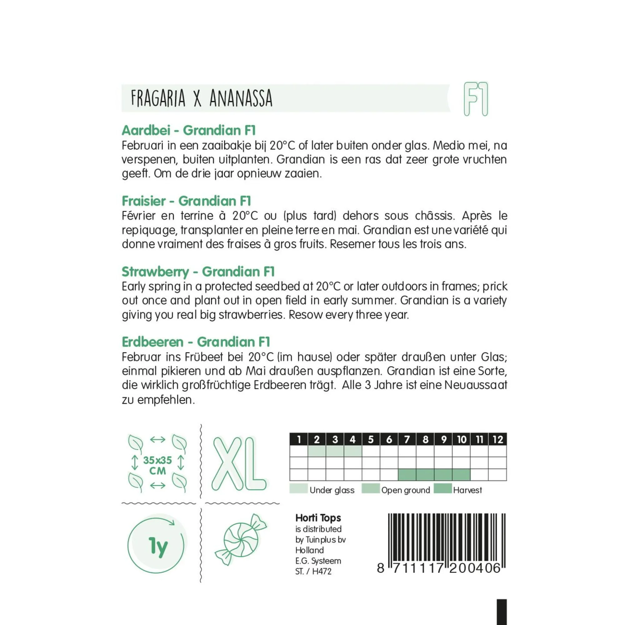 Horti Tops Moestuin>Aardbei Grandian zaad