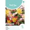 Horti Tops Moestuin>Akelei Mrs. Scott Elliott
