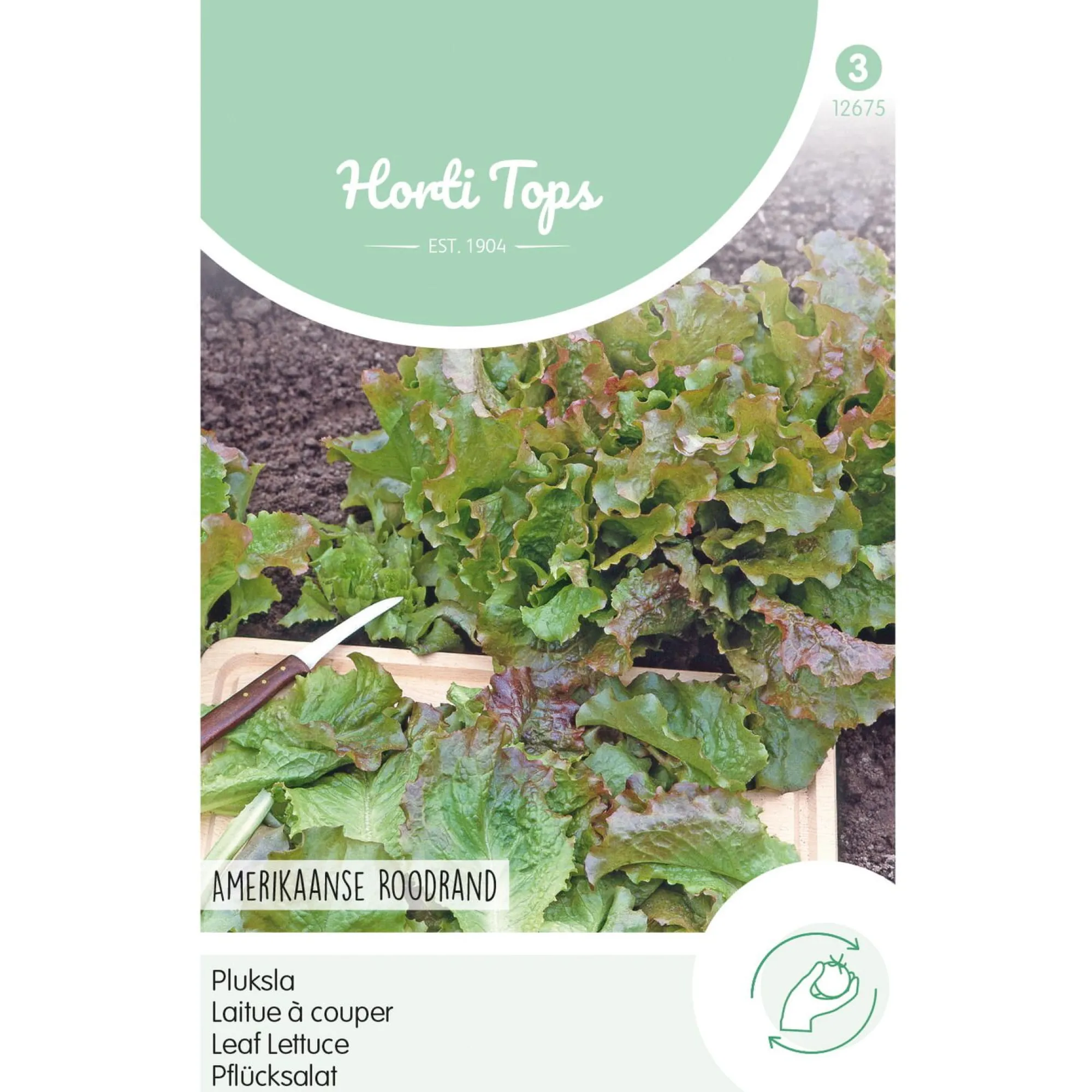 Horti Tops Moestuin>Amerikaanse roodrand pluksla