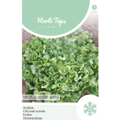 Horti Tops Moestuin>Andijvie breedblad volhart winter