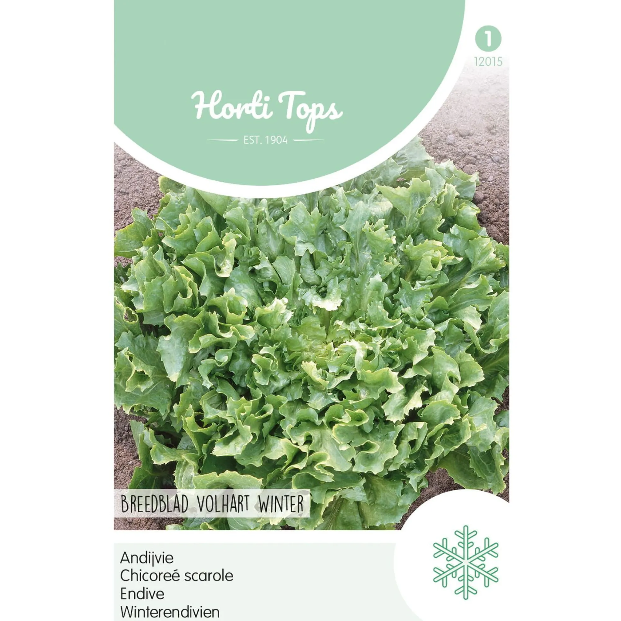 Horti Tops Moestuin>Andijvie breedblad volhart winter