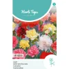 Horti Tops Moestuin>Anjer Grenadin mix