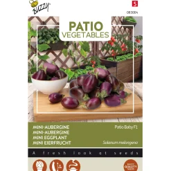 Buzzy Moestuin>Aubergine Patio baby F1