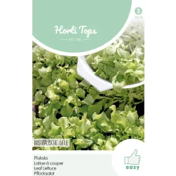 Horti Tops Moestuin>Australische gele pluksla