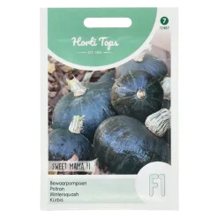 Horti Tops Moestuin>Bewaarpompoen sweet mama F1 zaad