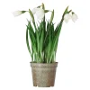Mica Decorations Kunstplanten En Kunstbloemen>Bloem sneeuwklokje 24 cm