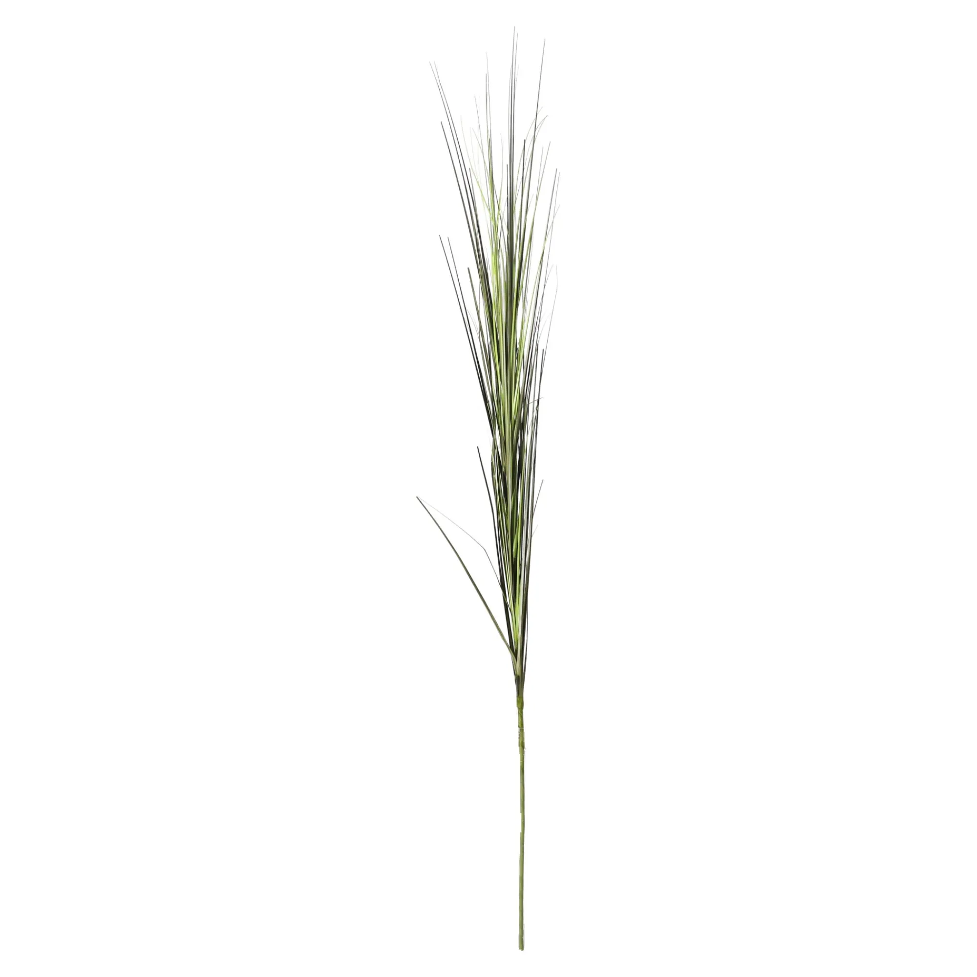 O'malley Kunstplanten En Kunstbloemen>Bundel gras smal 112 cm groen