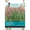 Buzzy Moestuin>Chinees Prachtriet