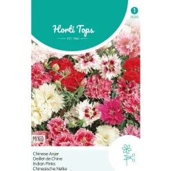 Horti Tops Moestuin>Chinese anjer Mix
