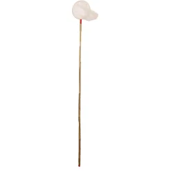 Gebr. de Boon Vijver>Dafnianet 19cm