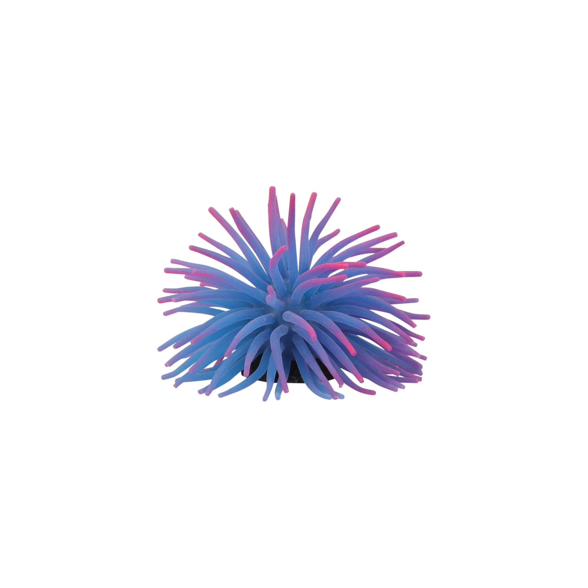Flamingo Aquariumdecoratie En Accessoires>Deco aqua anemoon M