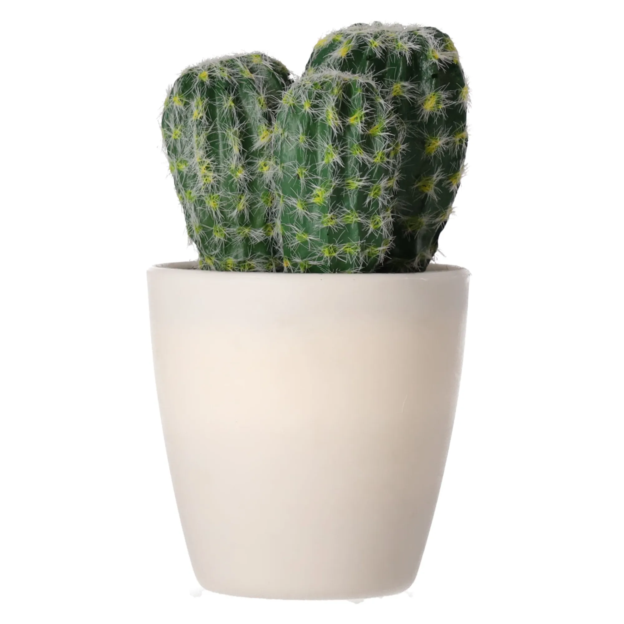 O'malley Kunstplanten En Kunstbloemen>Decoratieve cactusplant 19 cm diverse assorti