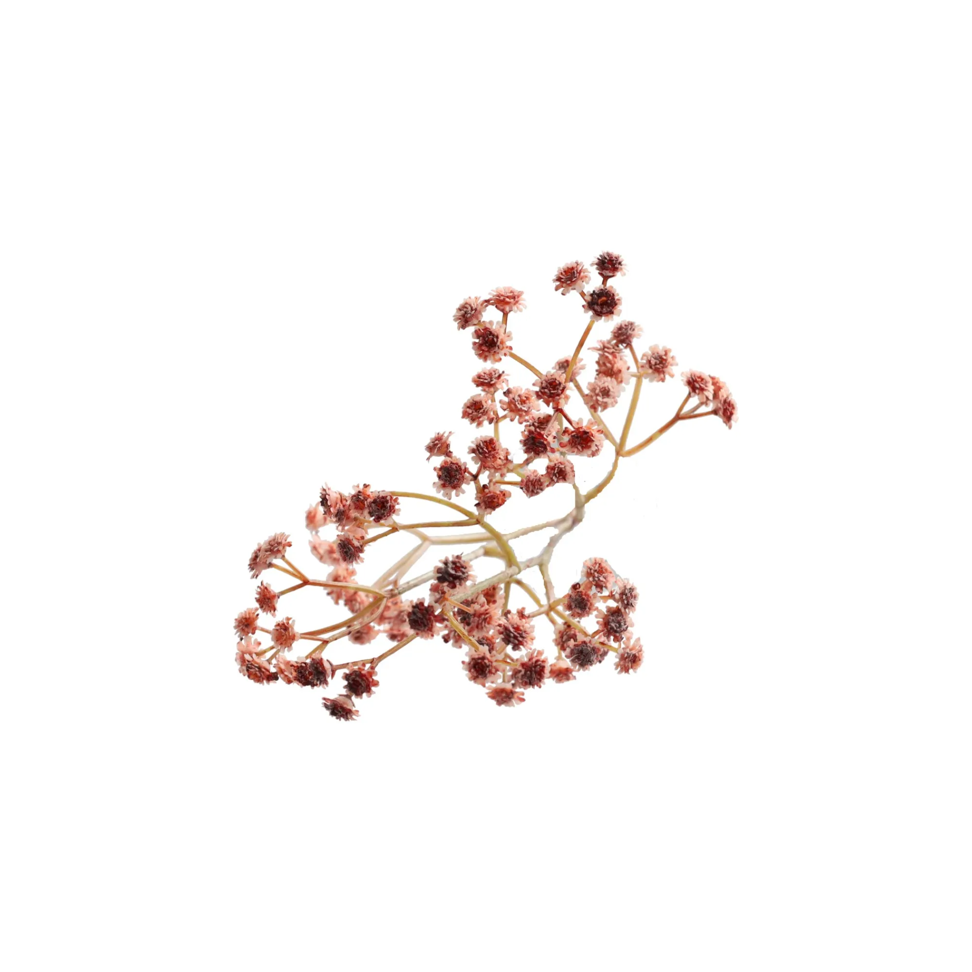 Boltze home Kunstplanten En Kunstbloemen>Decoratieve tak bruidssluier 60 cm 2 assorti