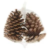 Natural Collections Kerstdecoratie>Dennenappel natural 13 x 13 x 8 cm 2st