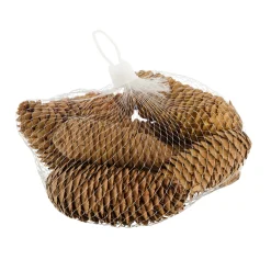 Natural Collections Kerstdecoratie>Dennenappel natural 150g