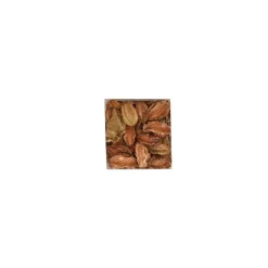 Natural Collections Woondecoratie>Exotische mix natuur 6 x 6 x 14 cm 6 assorti