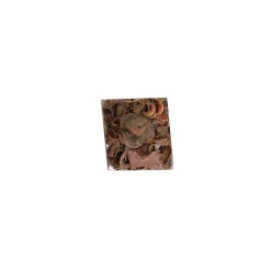 Natural Collections Woondecoratie><noscript><img width=
