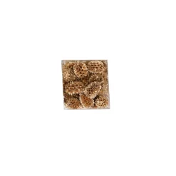 Natural Collections Woondecoratie><noscript><img width=
