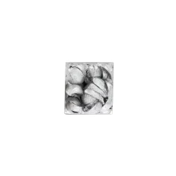 Natural Collections Woondecoratie><noscript><img width=