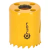 Lotus Toebehoren Elektrisch Gereedschap>Gatenzaag 38mm pro