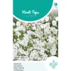 Horti Tops Moestuin>Gipskruid Covent Garden