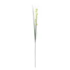 O'malley Kunstplanten En Kunstbloemen>Grasbundel 131 cm groen