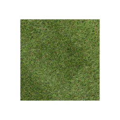 Bel Garden Grondbedekking>Grastapijt Carrow Road 2x4M