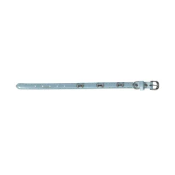 Friendly Pet Hondenriem>Halsband bot blauw 16mmx35cm