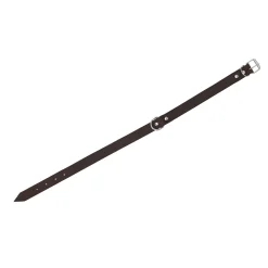 Friendly Pet Hondenriem>Halsband leder rondo 10mm 27cm