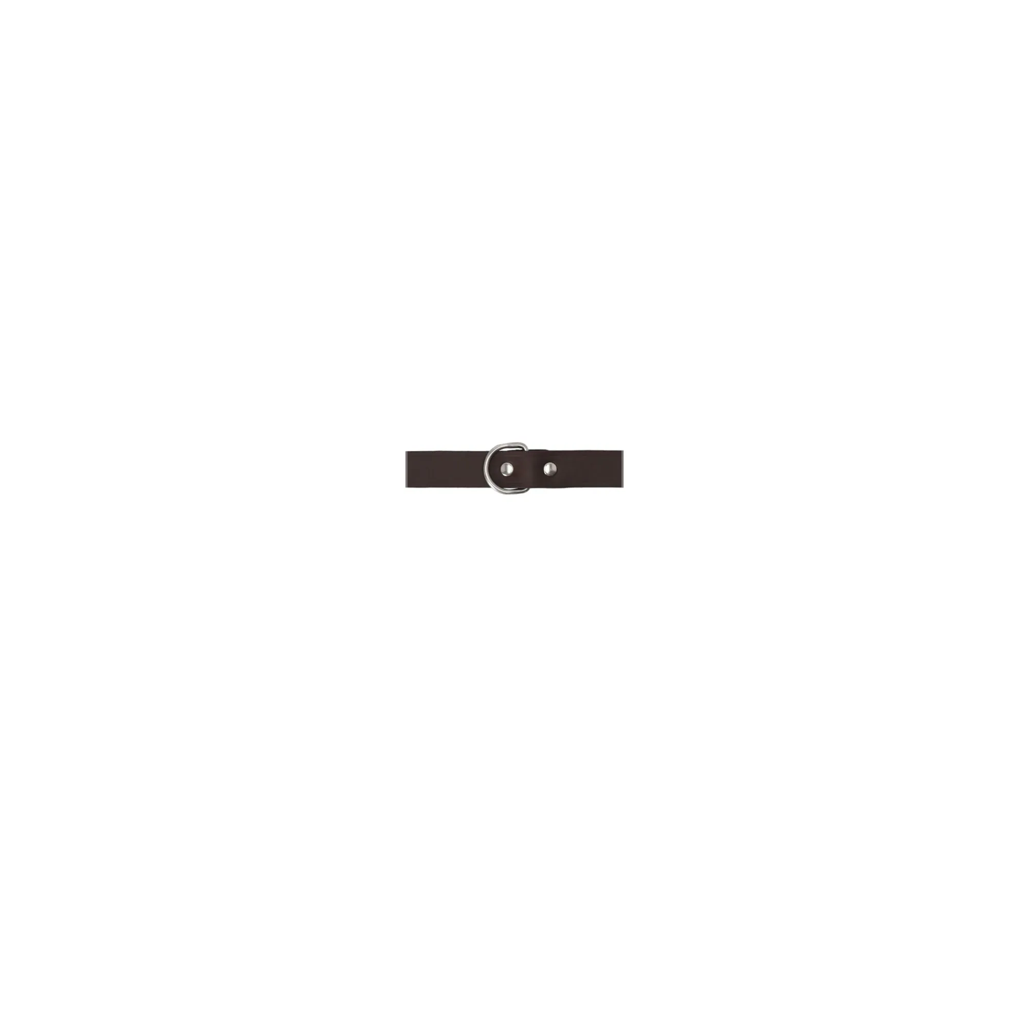 Friendly Pet Hondenriem>Halsband leder rondo 10mm 27cm