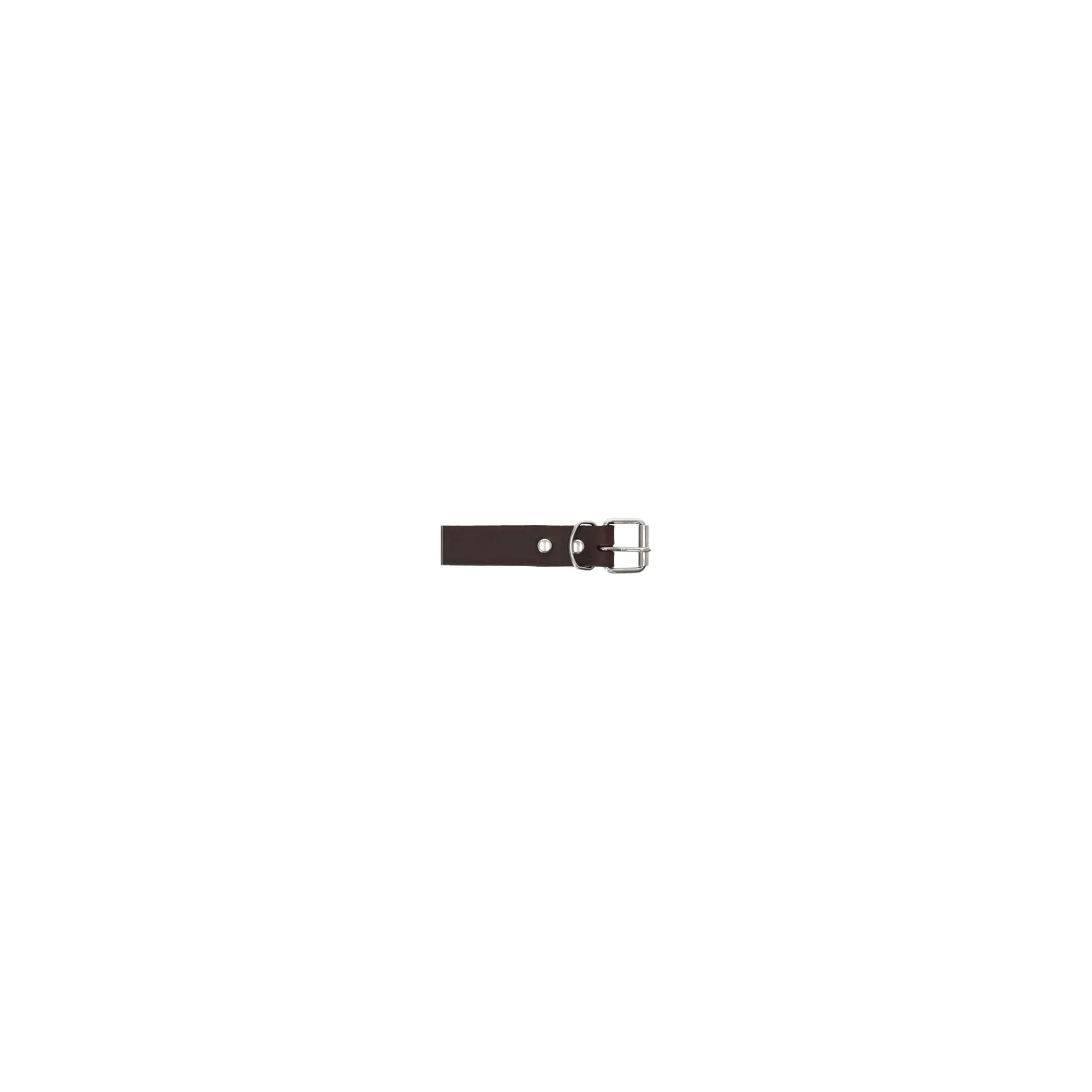 Friendly Pet Hondenriem>Halsband leder rondo 10mm 27cm