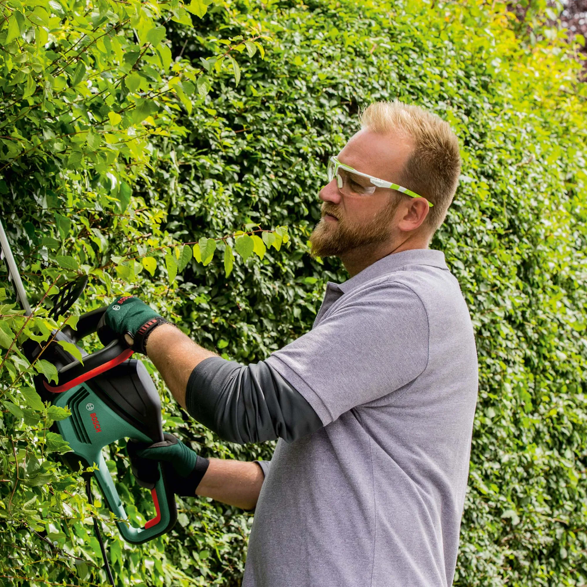 Bosch Tuinmachines>Heggenschaar AdvancedHedgeCut 65 V2