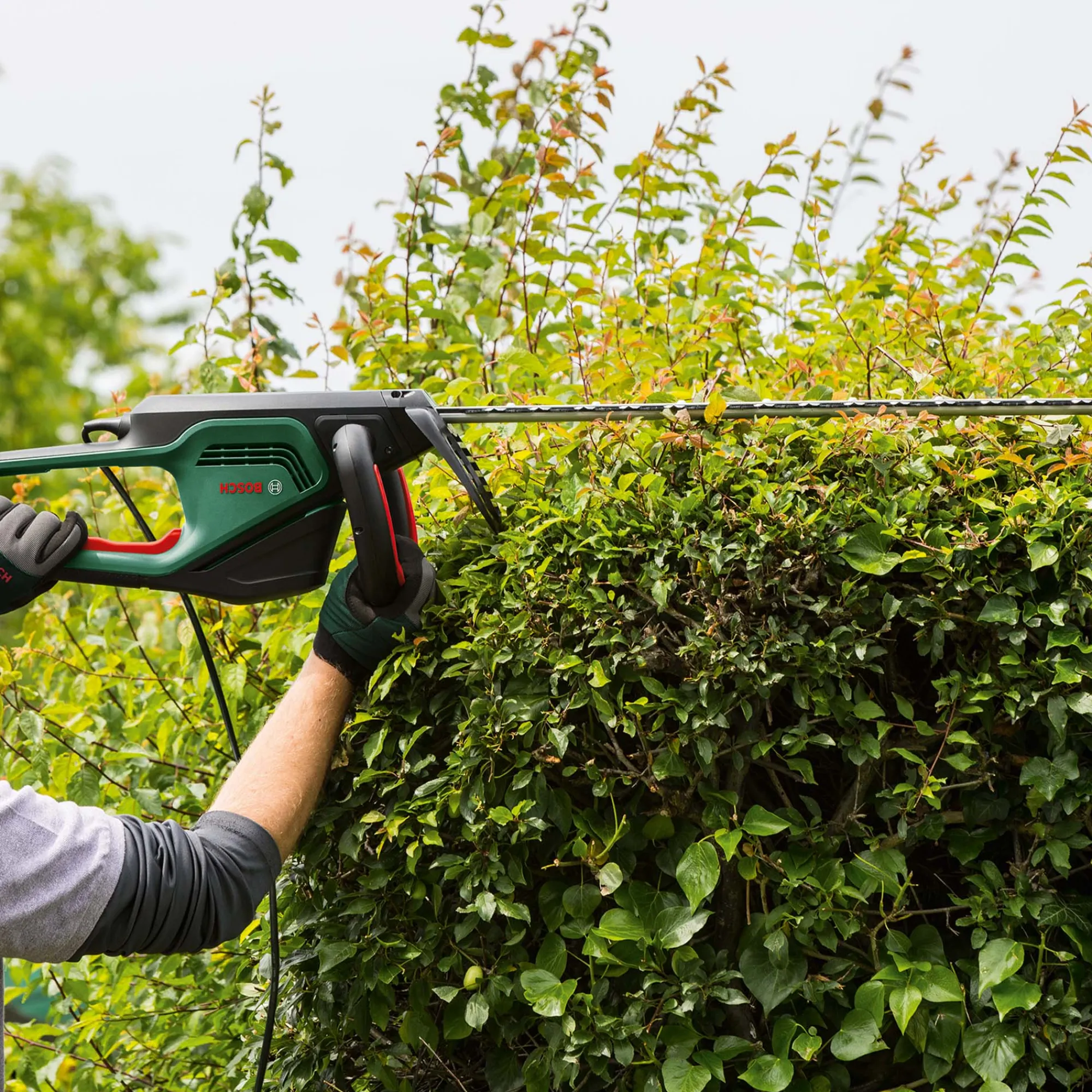 Bosch Tuinmachines>Heggenschaar AdvancedHedgeCut 65 V2
