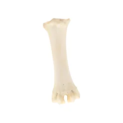 Smulti Hondensnacks>Hondensnack calcium been groot