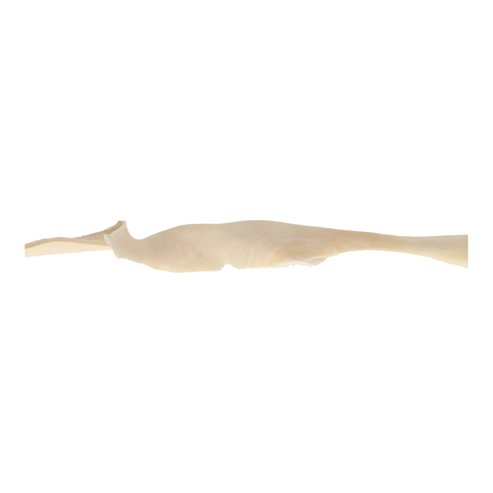 Smulti Hondensnacks>Hondensnack runderkophuid wit 70cm
