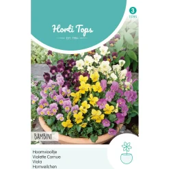 Horti Tops Moestuin>Hoornviooltjes Bambini mix