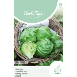 Horti Tops Moestuin>IJsbergsla Great Lakes