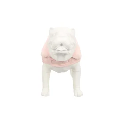 Friendly Pet Hondenjas><noscript><img width=