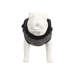 Friendly Pet Hondenjas><noscript><img width=