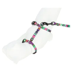 Friendly Pet Kattenverzorging><noscript><img width=