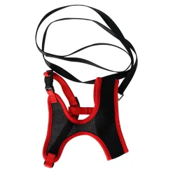 Friendly Pet Kattenverzorging>Kattentuig zwart/rood 15mmx120cm