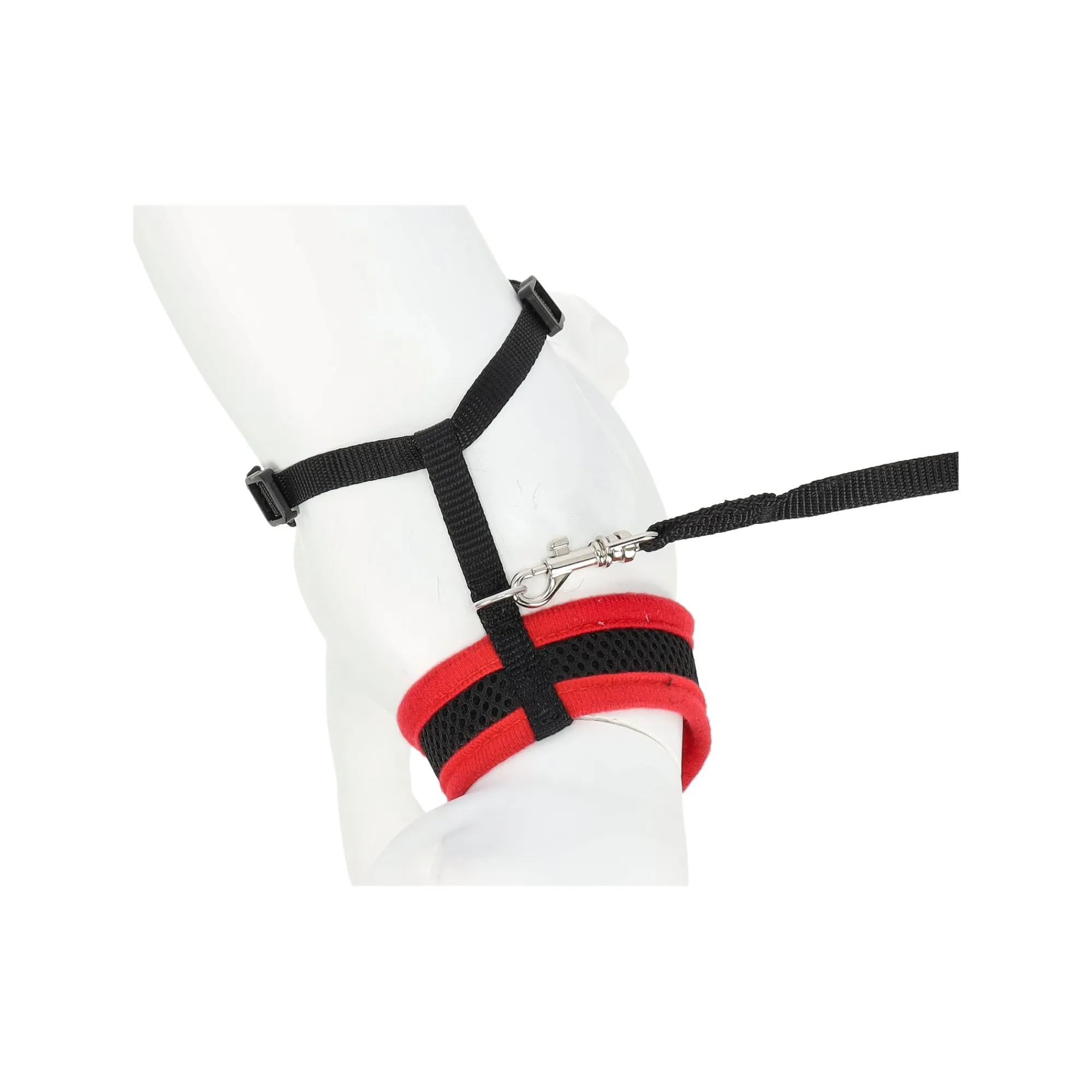 Friendly Pet Kattenverzorging>Kittentuig zwart/rood 10mmx110cm