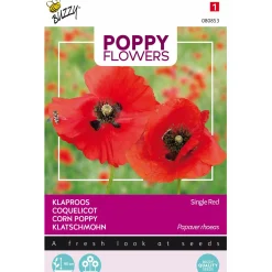 Buzzy Moestuin>Klaproos Rhoeas rood