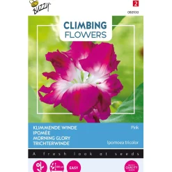 Buzzy Moestuin>Klimmende Winde dubbel rose