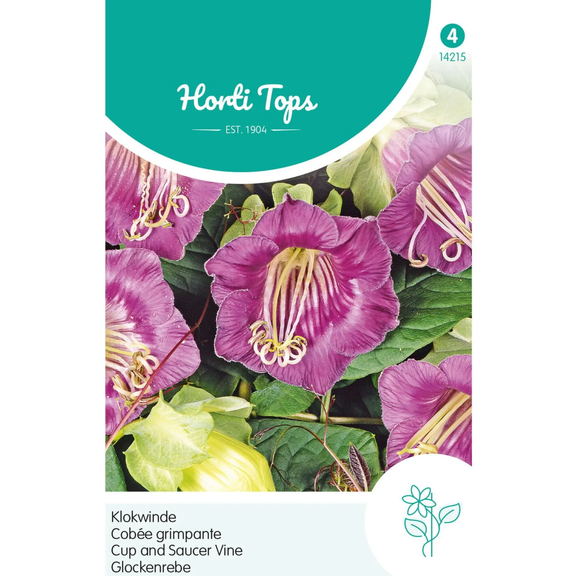 Horti Tops Moestuin>Klokwinde