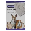Friendly Pet Knaagdierverzorging>Koelsteen 28 x 20 cm