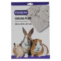 Friendly Pet Knaagdierverzorging>Koelsteen 28 x 20 cm