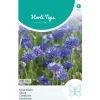 Horti Tops Moestuin>Korenbloem Blue Ball