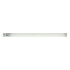 Philips Binnenverlichting>Lamp T8 LED 19.5W