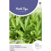 Horti Tops Moestuin>Lavas / maggikruid zaad